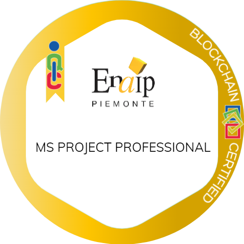 MS PROJECT PROFESSIONAL